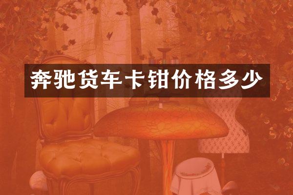 奔驰货车卡钳价格多少