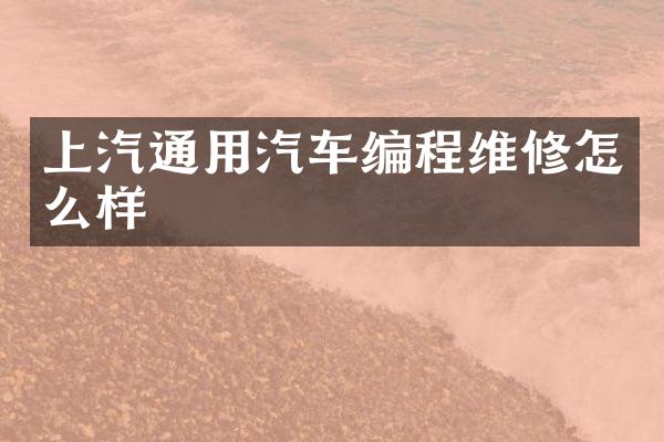 上汽通用汽车编程维修怎么样