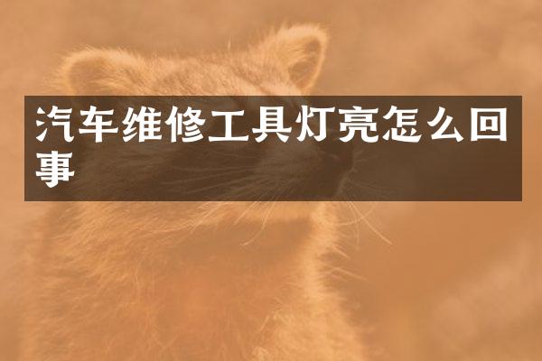 汽车维修工具灯亮怎么回事