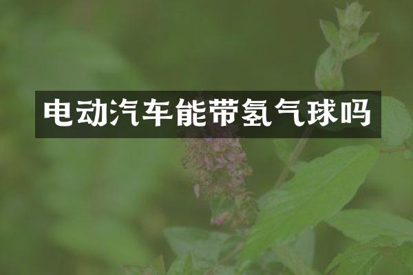 电动汽车能带氢气球吗