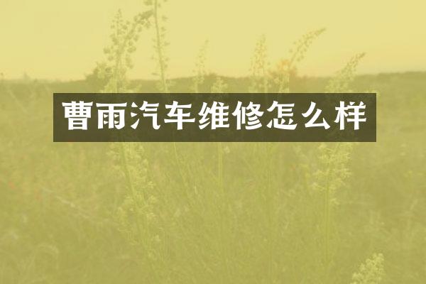 曹雨汽车维修怎么样