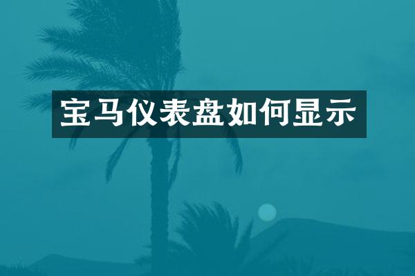 宝马仪表盘如何显示