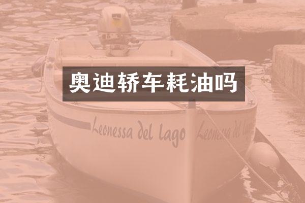 奥迪轿车耗油吗