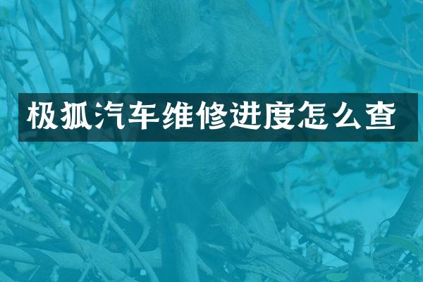 极狐汽车维修进度怎么查