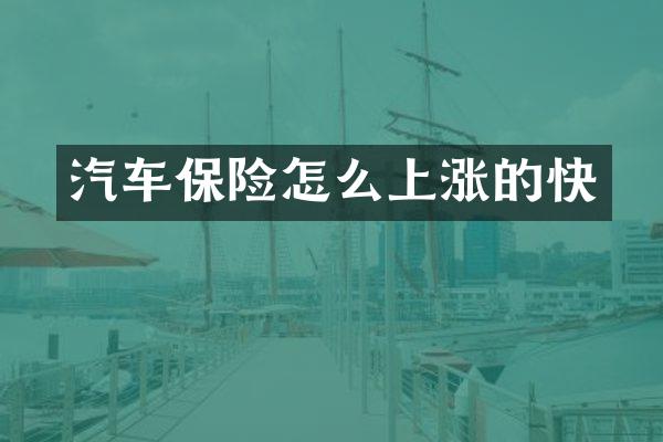 汽车保险怎么上涨的快
