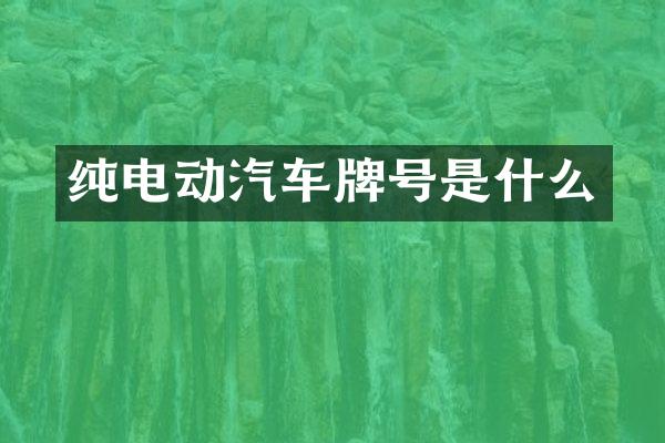 纯电动汽车牌号是什么