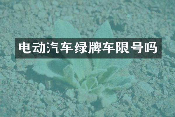 电动汽车绿牌车限号吗