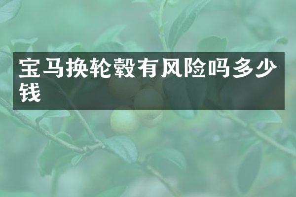 宝马换轮毂有风险吗多少钱