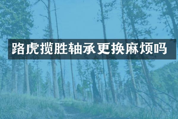 路虎揽胜轴承更换麻烦吗