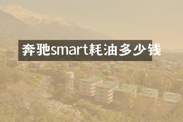 奔驰smart耗油多少钱
