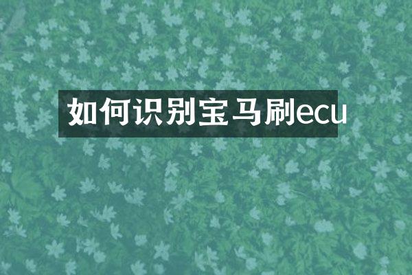 如何识别宝马刷ecu