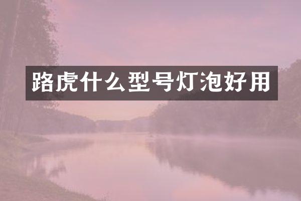 路虎什么型号灯泡好用