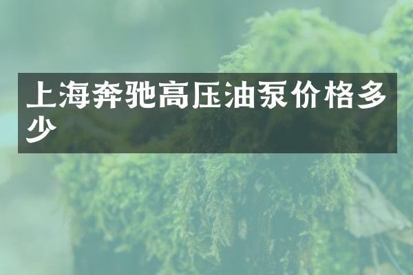 上海奔驰高压油泵价格多少