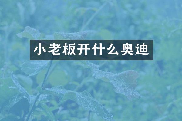 小老板开什么奥迪