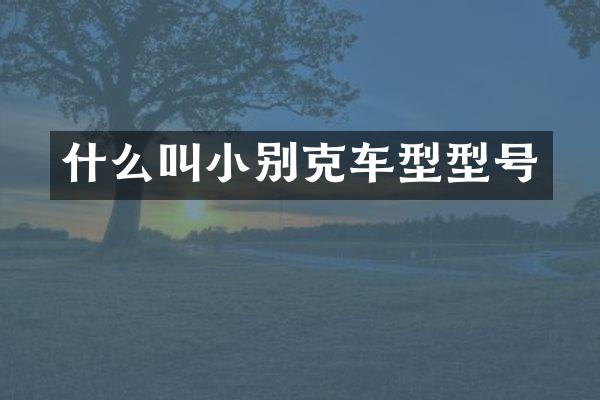 什么叫小别克车型型号