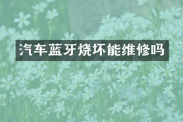 汽车蓝牙烧坏能维修吗