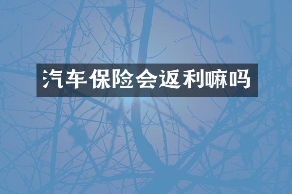 汽车保险会返利嘛吗