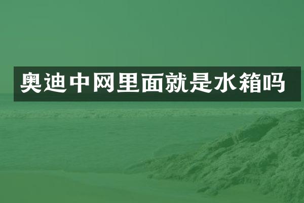 奥迪中网里面就是水箱吗