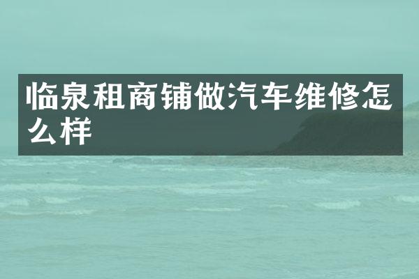 临泉租商铺做汽车维修怎么样