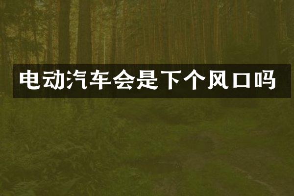 电动汽车会是下个风口吗