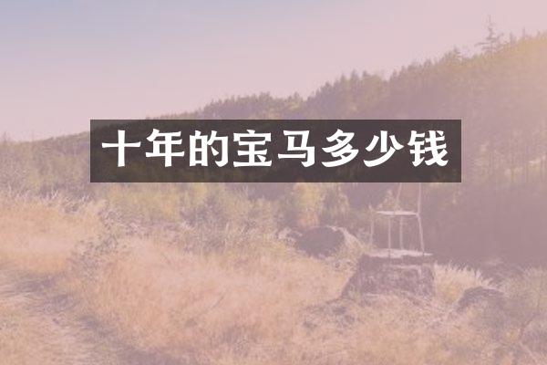 十年的宝马多少钱