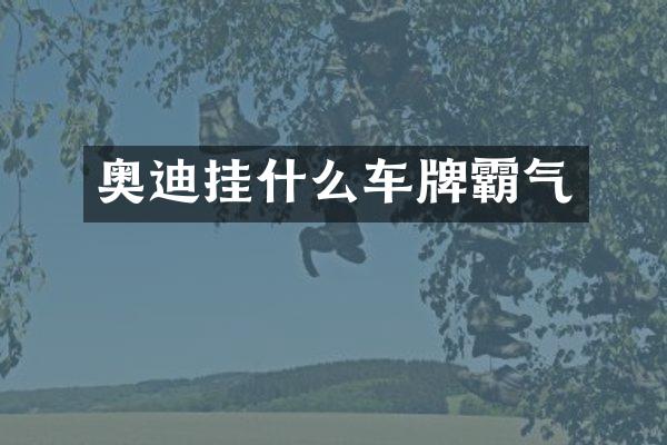 奥迪挂什么车牌霸气