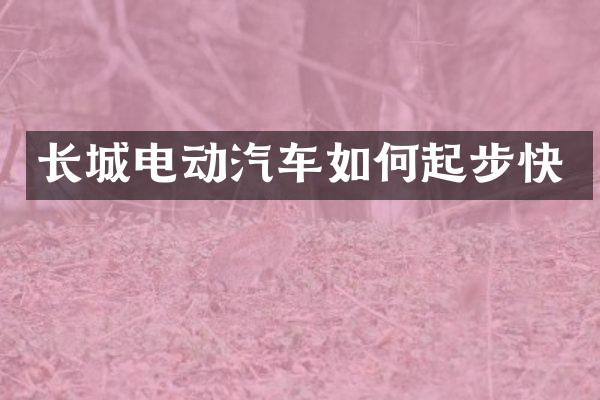 长城电动汽车如何起步快