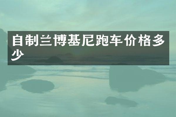 自制兰博基尼跑车价格多少