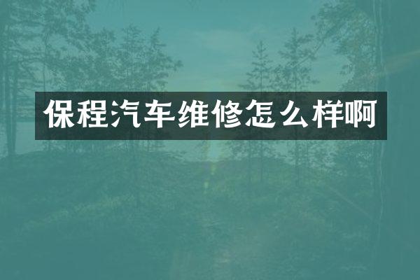 保程汽车维修怎么样啊