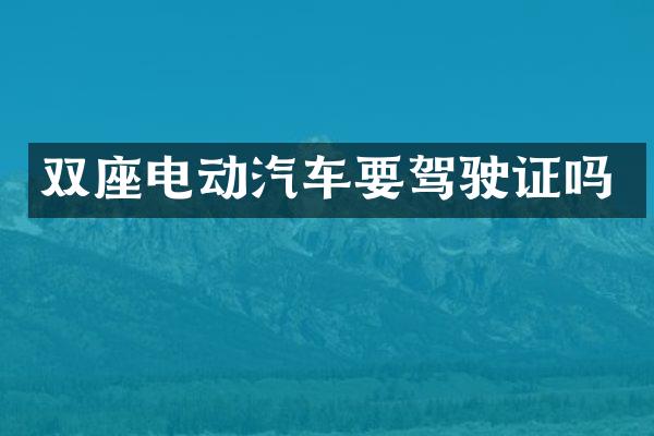 双座电动汽车要吗