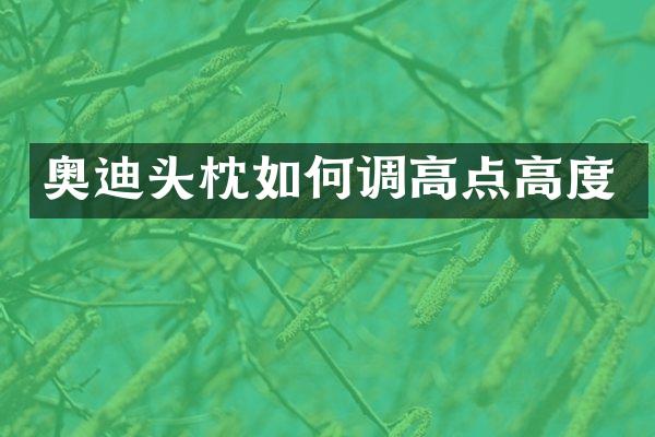 奥迪头枕如何调高点高度