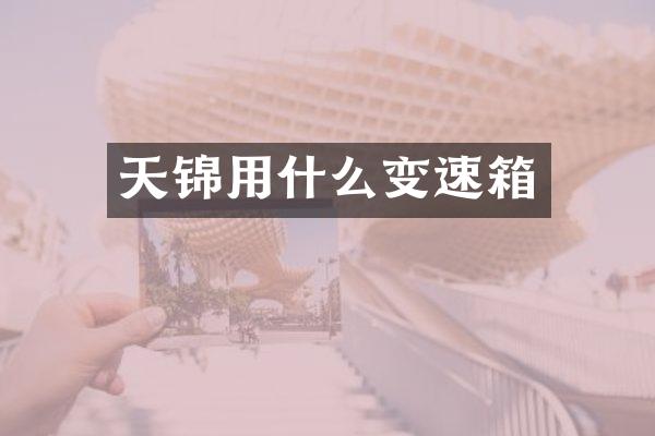 天锦用什么变速箱