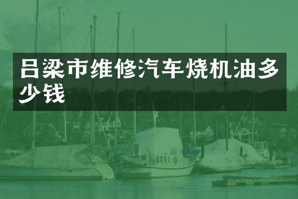 吕梁市维修汽车烧机油多少钱