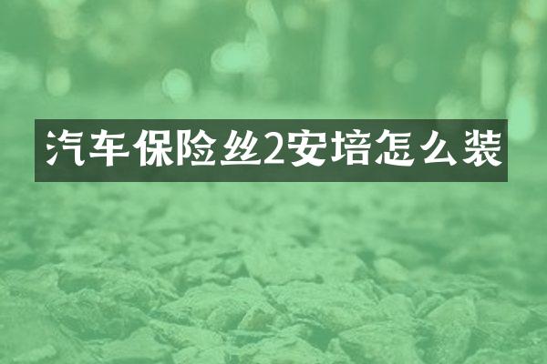 汽车保险丝2安培怎么装