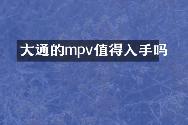 大通的mpv值得入手吗