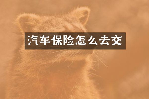 汽车保险怎么去交