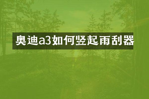 奥迪a3如何竖起雨刮器