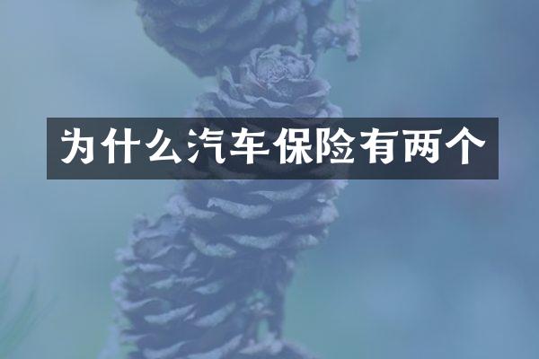为什么汽车保险有两个