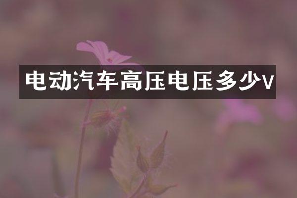 电动汽车高压电压多少v