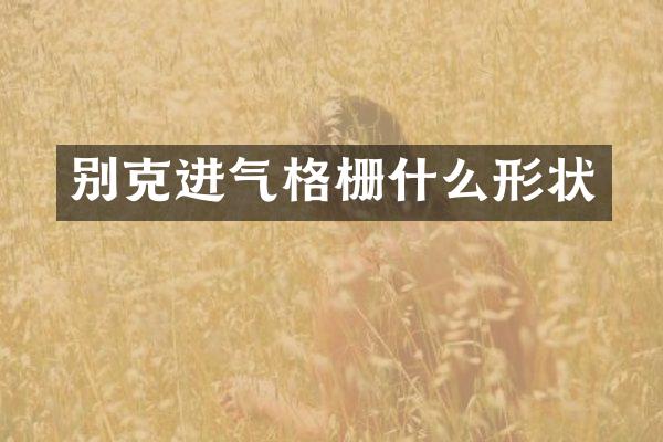 别克进气格栅什么形状