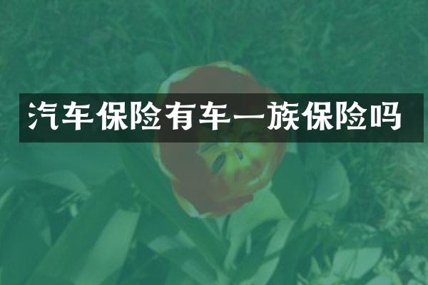 汽车保险有车一族保险吗