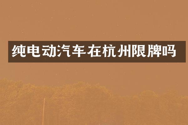 纯电动汽车在杭州限牌吗