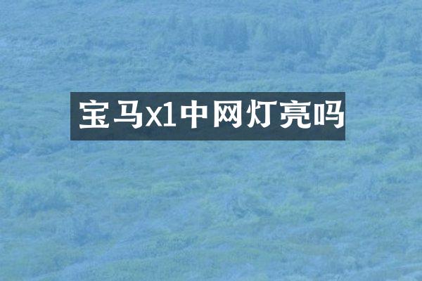 宝马x1中网灯亮吗