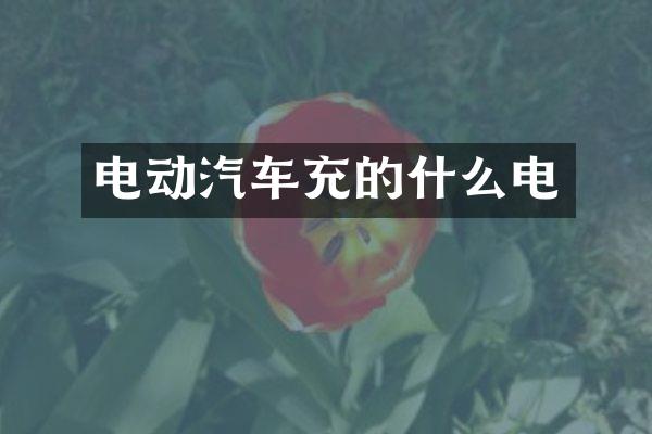 电动汽车充的什么电