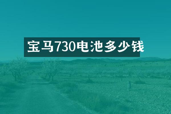 宝马730电池多少钱