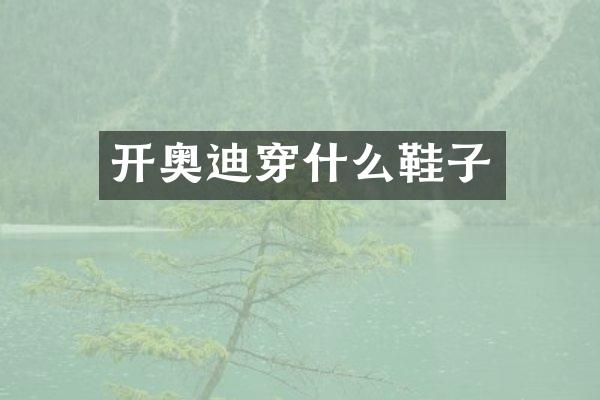 开奥迪穿什么鞋子