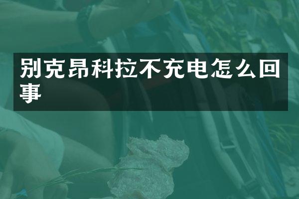 别克昂科拉不充电怎么回事