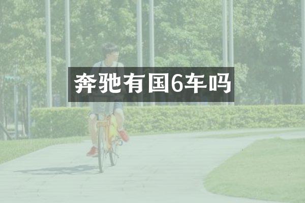 奔驰有国6车吗