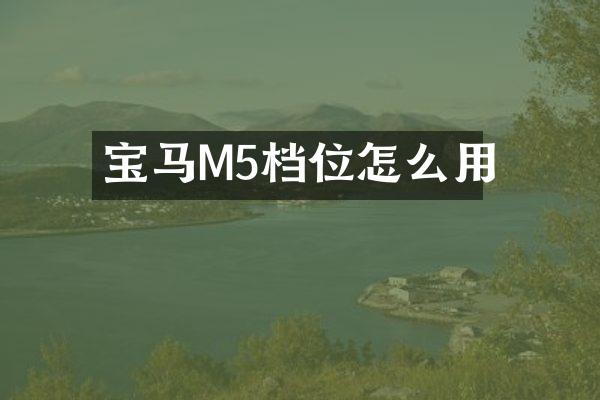 宝马M5档位怎么用