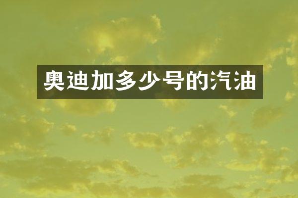 奥迪加多少号的汽油